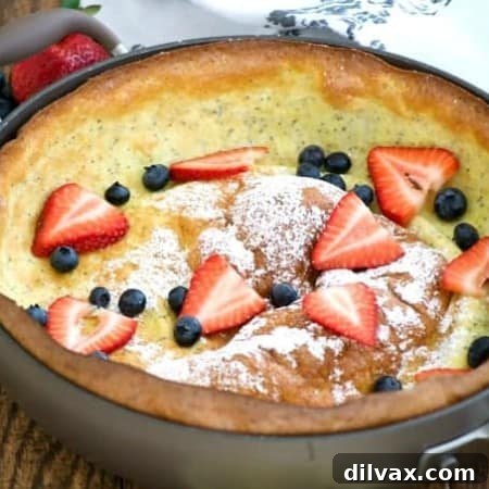 This Lemon Poppy Seed Dutch Baby is a light and fluffy pancake baked in the oven. With a light lemon flavor, it's a perfect breakfast treat for the weekend.