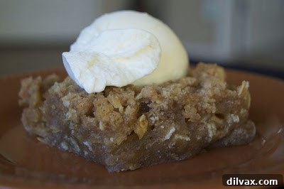 Warm Apple Crisp, a comforting dessert made in a toaster oven during an appliance emergency.