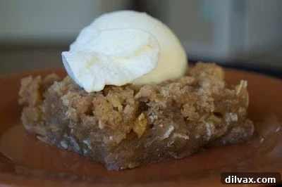 Apple Crisp. That comfort food you can never go wrong with. Baked in a toaster oven during a main oven breakdown.