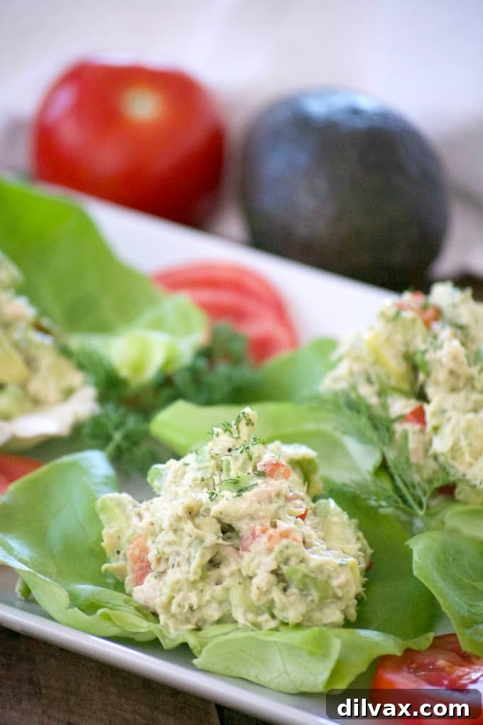 These Avocado Tuna Salad Lettuce Wraps with solid white tuna, avocado, fresh dill, mayo and sweet relish, are a delicious and great low carb lunch or snack. These Avocado Tuna Salad Lettuce Wraps with solid white tuna, avocado, fresh dill, mayo and sweet relish, are a delicious and great low carb lunch or snack.