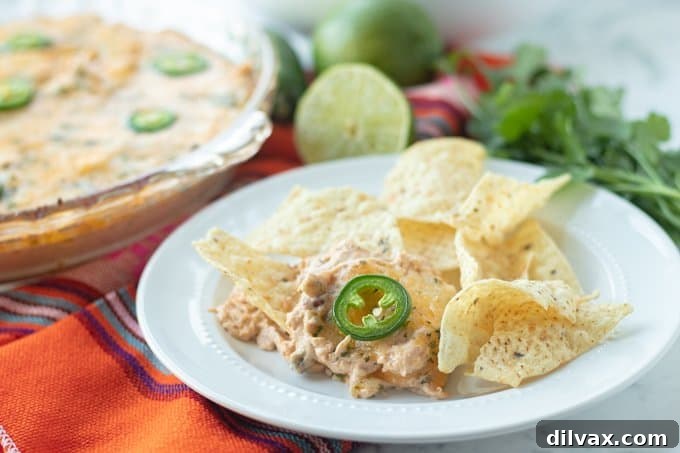 Loaded Chicken Taco Dip 2 Taco Dip with shredded chicken, a vibrant and cheesy appetizer.