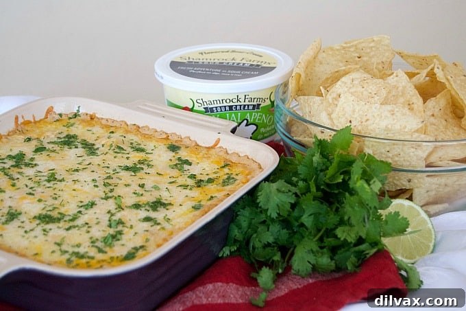 Loaded Chicken Taco Dip 9 Scooping a serving of creamy, hot Chicken Taco Dip with tortilla chips.