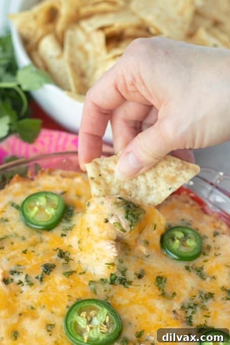 Loaded Chicken Taco Dip 3 Chicken Taco Dip in a baking dish, perfectly golden and bubbly.