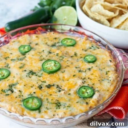 Loaded Chicken Taco Dip 8 Chicken Taco Dip