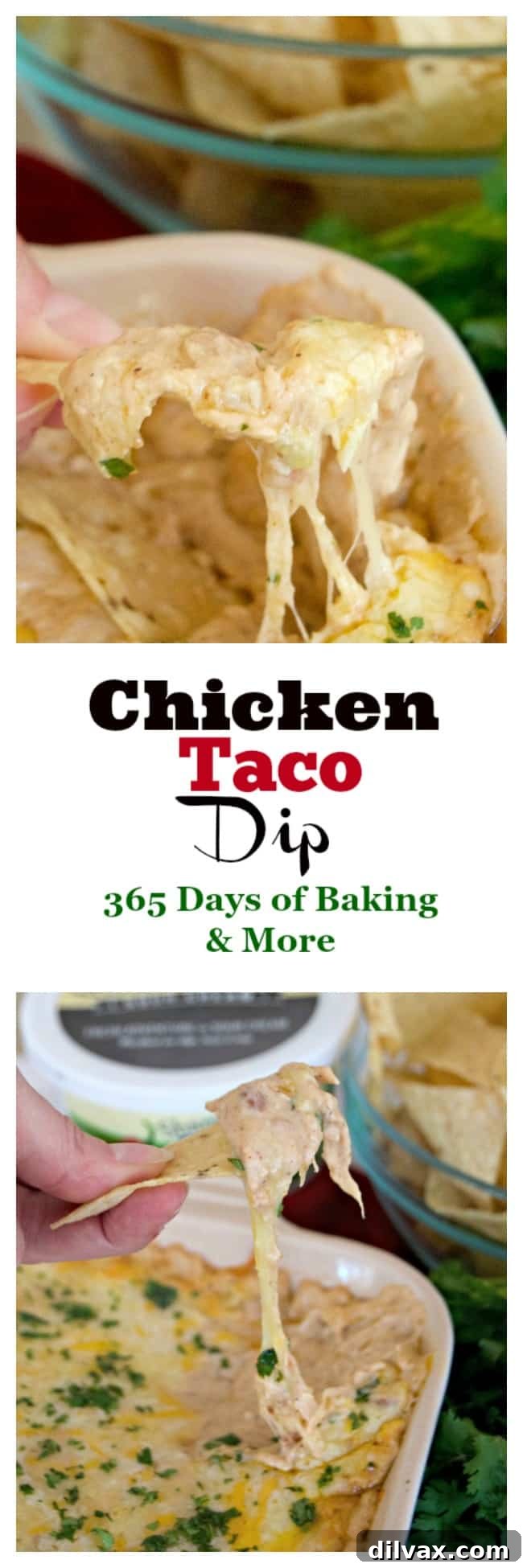 This Chicken Taco Dip with refried beans, chicken, and cheese is a perfect addition to your Cinco De Mayo menu. This Chicken Taco Dip with refried beans, chicken, and cheese is a perfect addition to your Cinco De Mayo menu.