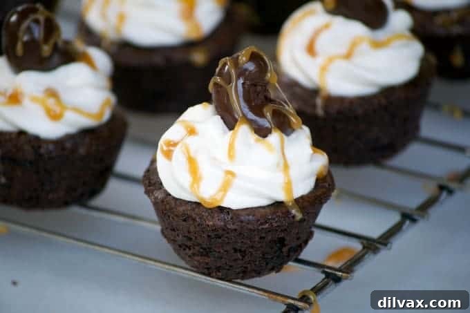 Irresistible Salted Caramel Cashew Brownie Bites, each featuring a melt-in-your-mouth Marich Dark Chocolate Salted Caramel core, generously topped with smooth vanilla buttercream and crowned with a crunchy Marich Dark Chocolate Sea Salt Cashew. The perfect bite-sized treat for any occasion!