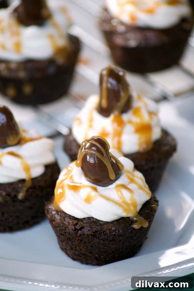 A closer look at the luscious Salted Caramel Cashew Brownie Bites, showcasing the rich brownie base, the creamy vanilla buttercream, and the elegant Marich Dark Chocolate Sea Salt Cashew on top. Perfect for sharing or indulging!