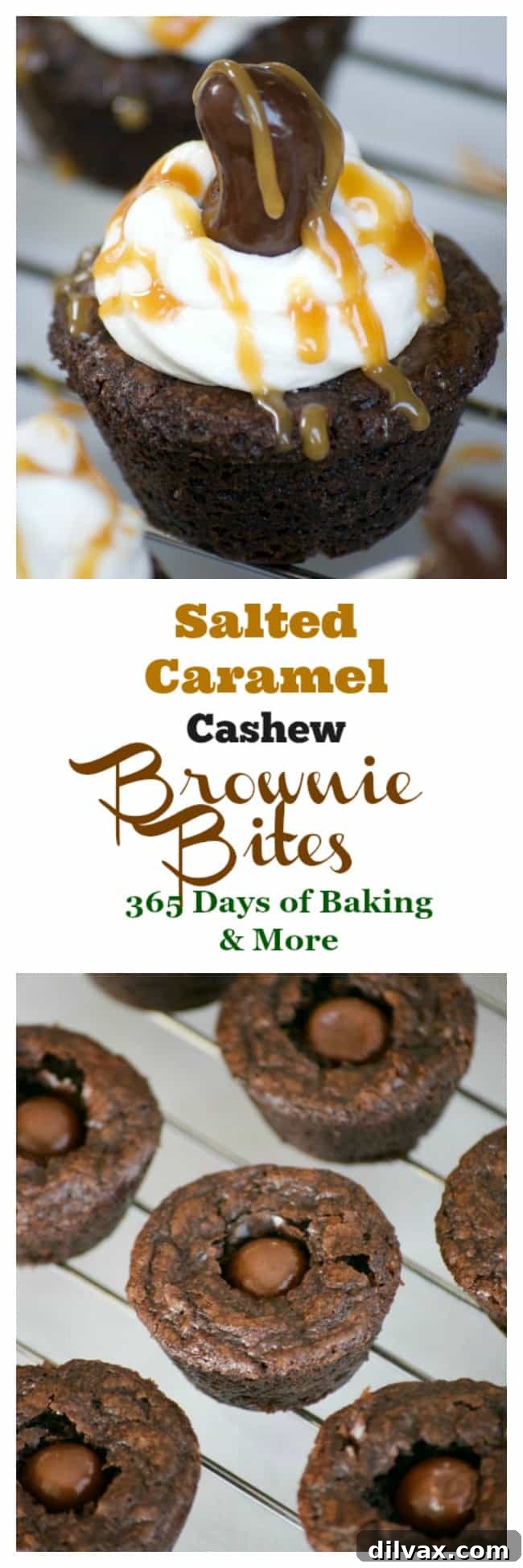 Cookout-Ready: Salted Caramel Cashew Brownie Bites A stunning platter of Salted Caramel Cashew Brownie Bites, ready to serve at a cookout. Each brownie is perfectly uniform and beautifully garnished, highlighting their gourmet appeal.