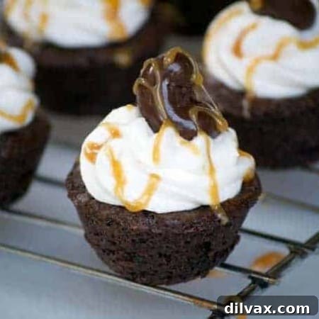 The finished Salted Caramel Cashew Brownie Bites, ready to be enjoyed.