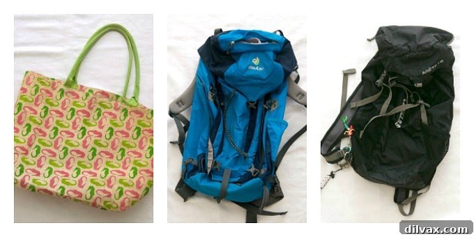 Variety of travel bags including large backpack, small daypack, and waterproof beach bag for a cruise.