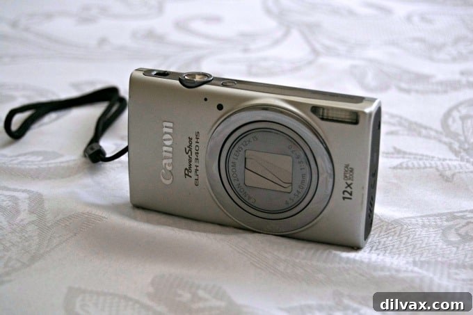 Camera and accessories like extra SD cards and batteries for cruise photography.