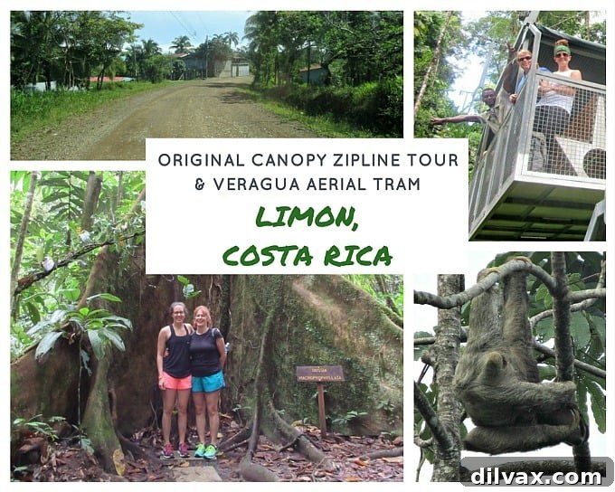 Ziplining through the lush Veragua Rainforest in Limon, Costa Rica, an exhilarating Panama Canal Cruise excursion.