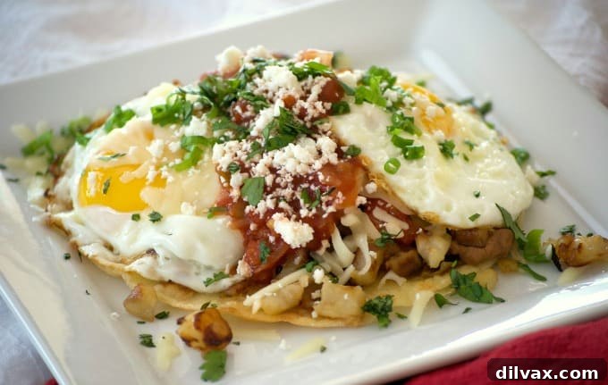 Loaded Huevos Rancheros are tortillas topped with refried beans, Potatoes O'Brien, salsa, eggs and cheese - a hearty breakfast that's full of great flavor!
