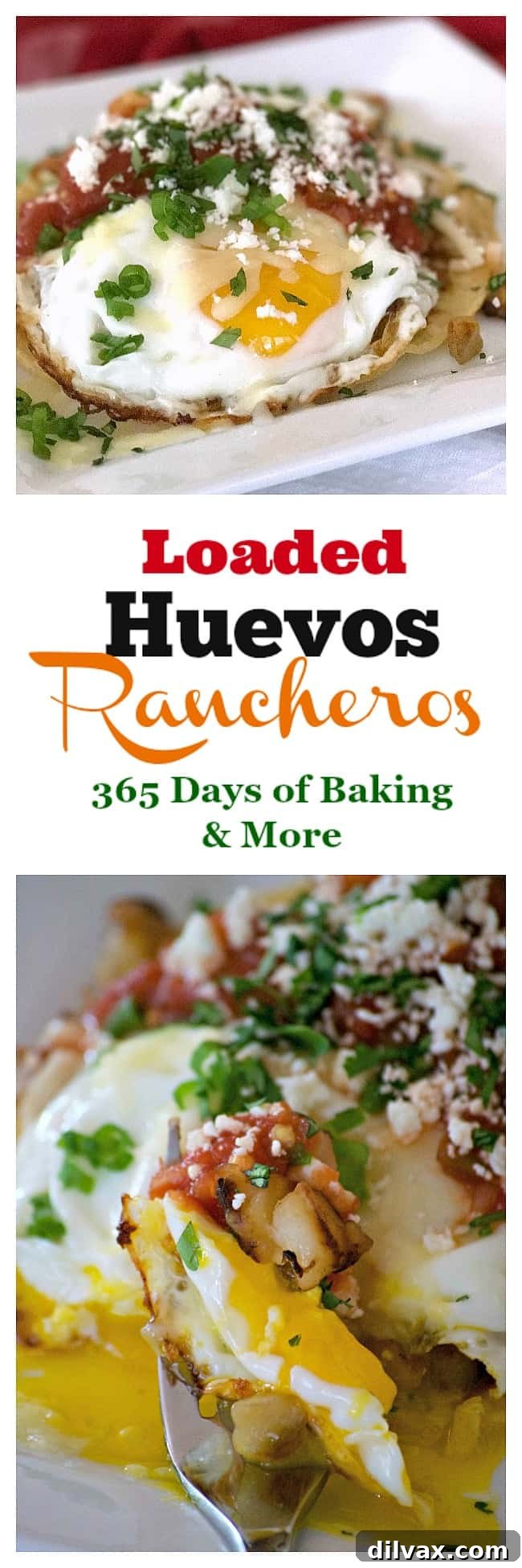 Loaded Huevos Rancheros are tortillas topped with refried beans, Potatoes O'Brien, salsa, eggs and cheese - a hearty breakfast that's full of great great flavor!