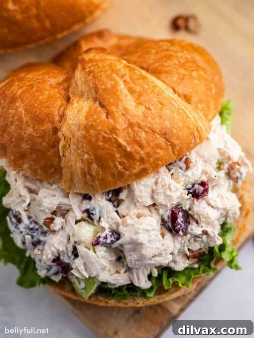 A hearty and delicious chicken salad sandwich, filled with creamy chicken salad and fresh greens.