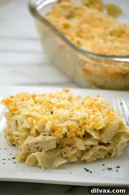 Chicken Noodle Casserole - a comforting blend of cooked chicken and noodles in a savory sauce, made even easier with a rotisserie chicken, perfect for a quick weeknight meal!