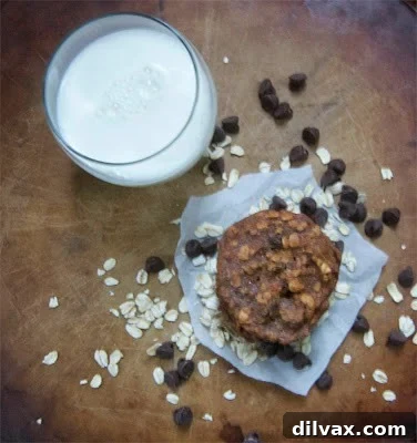 A plate of pumpkin spice oatmeal drop cookies, some showing signs of being flatter than intended.