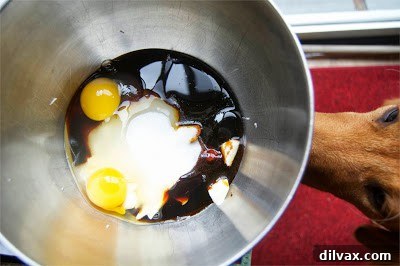 A close-up of a dog's nose sniffing the mixing bowl with wet ingredients for cookies, showing curiosity.