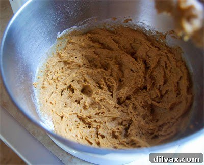 Cookie dough with oats and chocolate chips being mixed in a bowl.