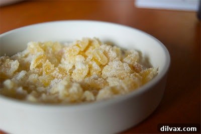 Rustic Blueberry Ginger Galette 4 Close-up of a rustic Blueberry Ginger Galette with golden-brown crust.