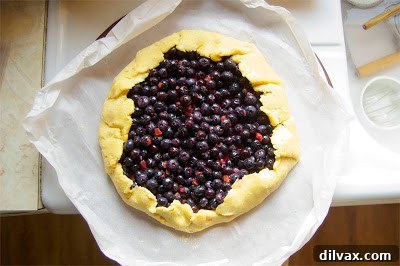 Rustic Blueberry Ginger Galette 5 Another perspective of the Blueberry Ginger Galette, showcasing its rustic beauty.