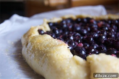 Rustic Blueberry Ginger Galette 6 Fresh blueberries and chopped crystallized ginger, key ingredients for the galette filling.