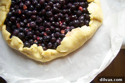 Rustic Blueberry Ginger Galette 8 Another delicious close-up of the baked Blueberry Ginger Galette.