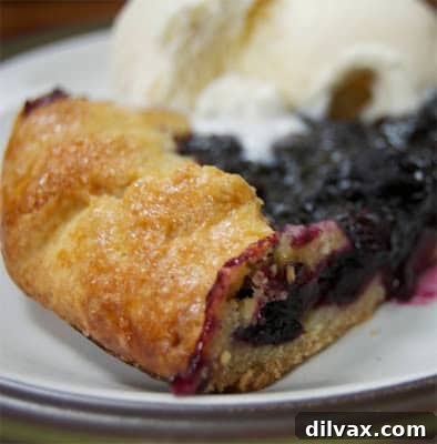 Rustic Blueberry Ginger Galette 9 The fully baked Blueberry Ginger Galette, golden brown and bubbly, ready to be served.