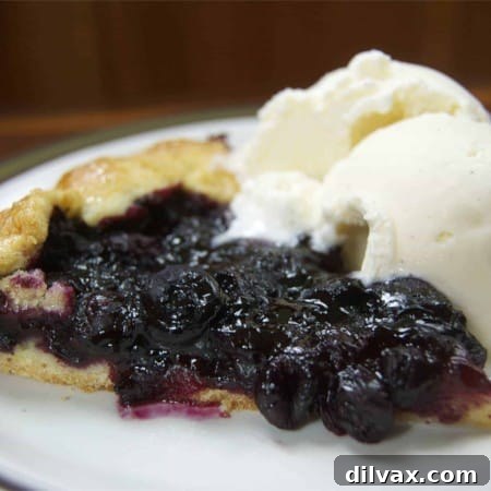 Rustic Blueberry Ginger Galette 10 Blueberry Ginger Galette showcasing its rustic crust and fruit filling.