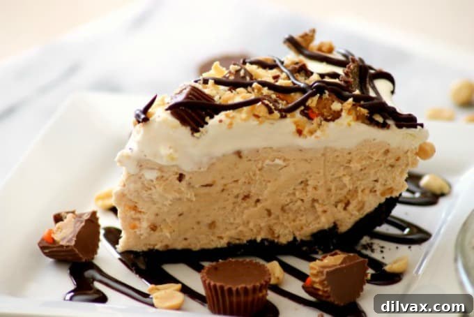 This No-Bake Peanut Butter Pie featuring a rich Oreo crust, a creamy peanut butter filling, and fresh whipped cream, crowned with delightful toppings, is the perfect dessert for any gathering or a cozy family game night. It's an easy, crowd-pleasing treat that brings joy to every bite.