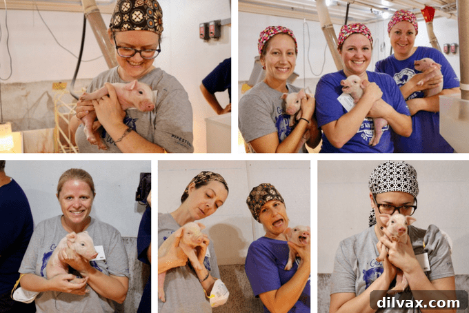 Swine Deep Dive 12 A group of food bloggers visiting a pig farm with the National Pork Board, showcasing their immersive experience.