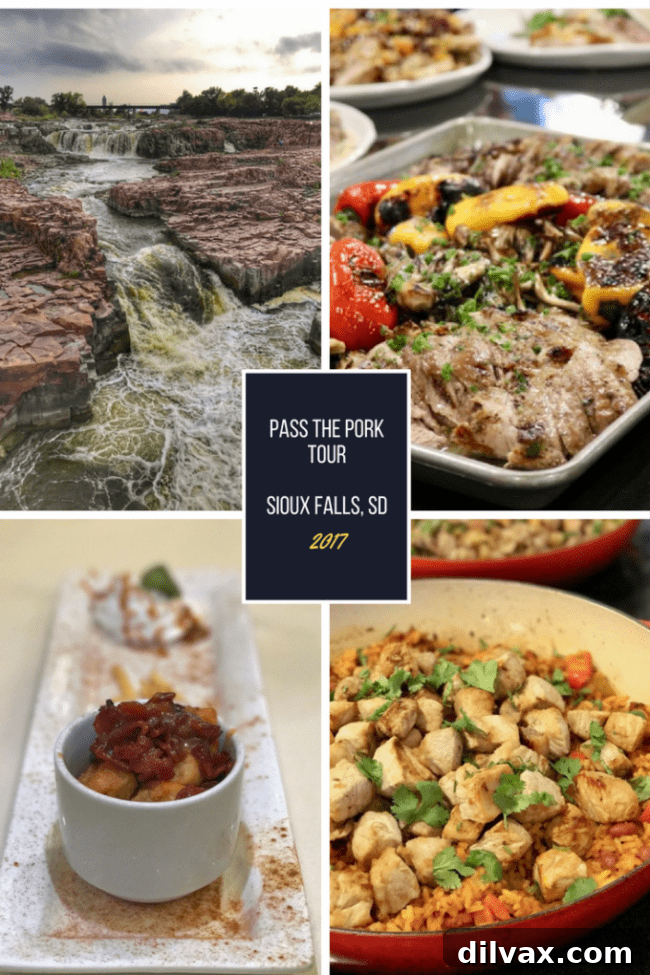 Swine Deep Dive 3 Blogger experiencing life on a pig farm, observing the care and dedication of pig farmers in Sioux Falls, South Dakota.