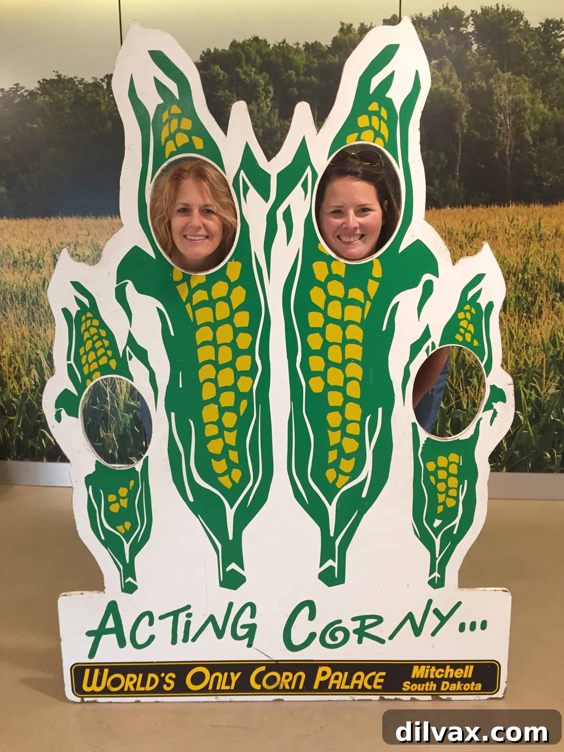 Swine Deep Dive 5 The unique exterior of the World's Only Corn Palace in Mitchell, South Dakota, decorated entirely with corn and other grains.
