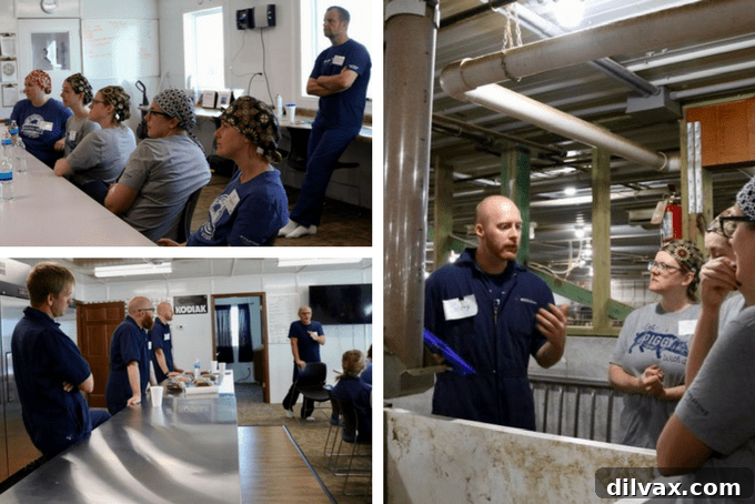 Swine Deep Dive 8 Overview of a modern pig farming facility, highlighting clean and controlled environments for animal welfare.