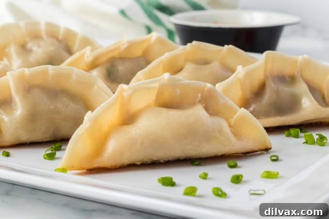 Crispy Pork Dumplings 2 Pork Potstickers