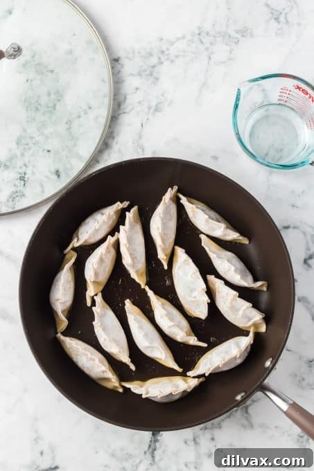 Crispy Pork Dumplings 11 Frying the potstickers before steaming.