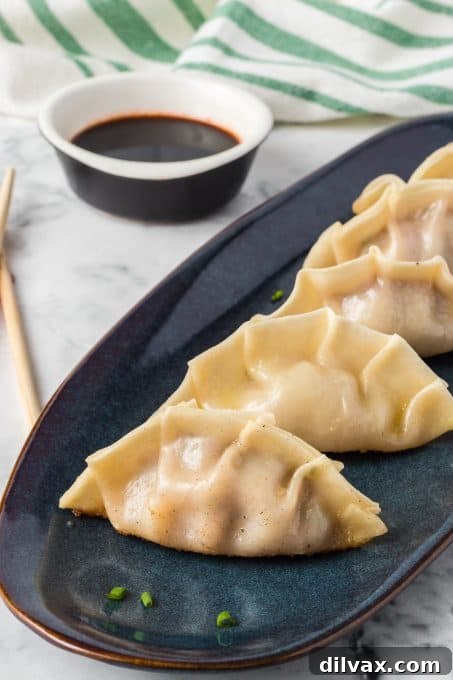 Crispy Pork Dumplings 12 Pork filling in potsticker wrappers.