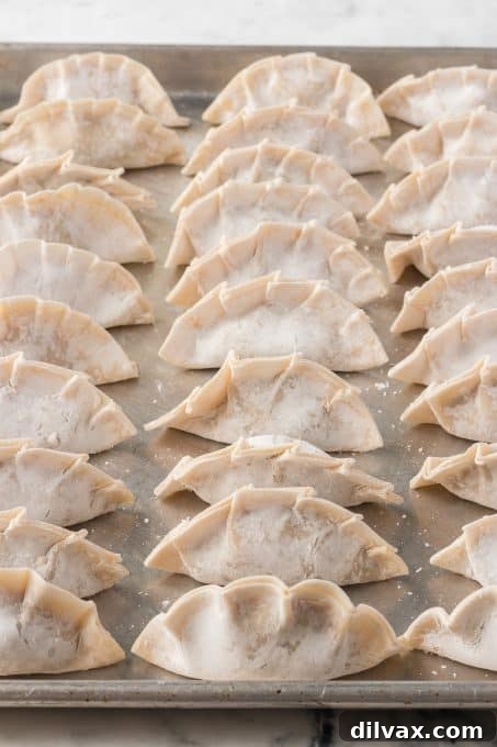 Crispy Pork Dumplings 13 Folded potstickers ready to be steamed and pan-fried.