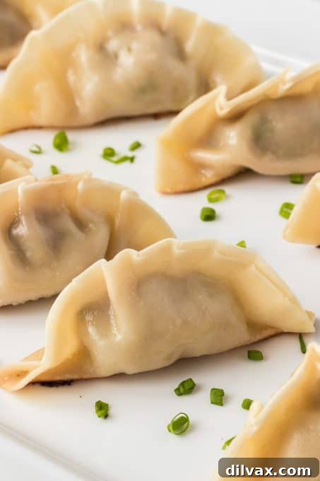 Crispy Pork Dumplings 14 Chinese dumplings with pork filling.