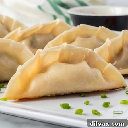 Pork Potstickers