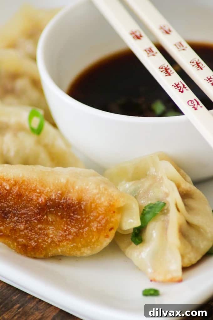 Crispy Pork Dumplings 17 These easy Pork Potstickers with ground pork, ginger, garlic, cabbage and soy sauce wrapped in a light dough are perfect as an appetizer or main course!