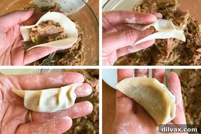 Crispy Pork Dumplings 21 These easy Pork Potstickers with ground pork, ginger, garlic, cabbage and soy sauce wrapped in a light dough are perfect as an appetizer or main course!