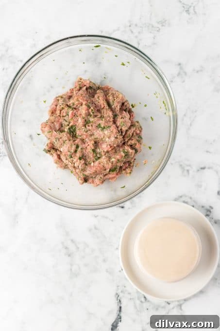 Crispy Pork Dumplings 7 Potsticker wrappers and potsticker pork filling.