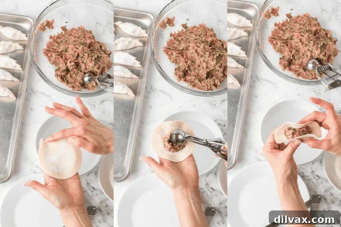 Crispy Pork Dumplings 8 Pork Potstickers first process photos.