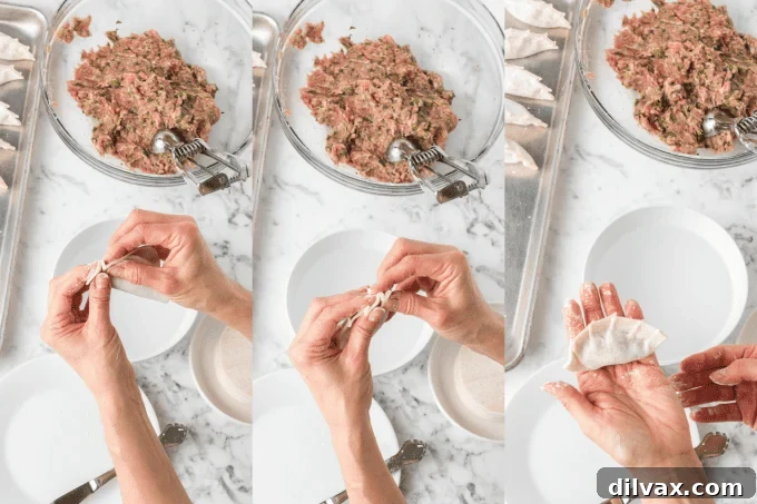 Crispy Pork Dumplings 9 Pork Potstickers second set of process photos.