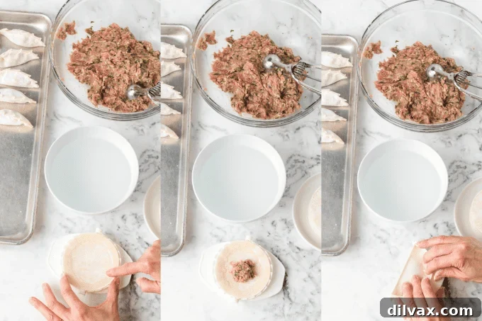 Crispy Pork Dumplings 10 Process photos for Pork Potstickers using a dough press.