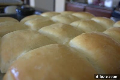 Blueberry Cinnamon Apple Delight 8 Pillowy soft Texas Roadhouse Rolls, perfect with cinnamon honey butter.