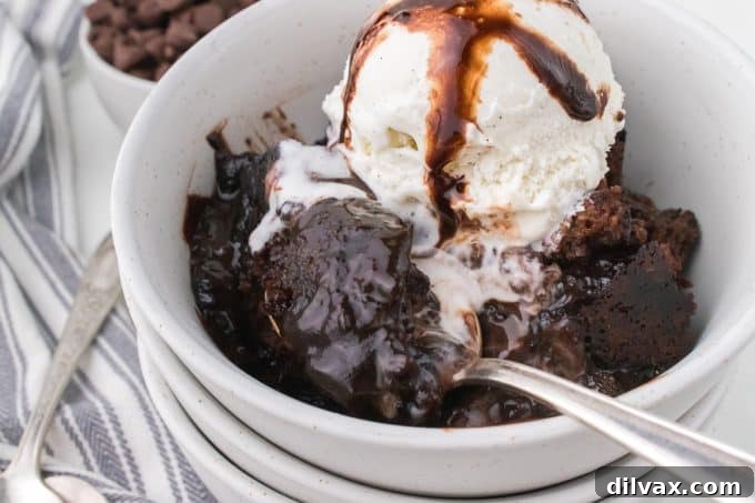 Decadent Peanut Butter Chocolate Pudding Cake 2 Gooey Slow Cooker Chocolate Peanut Butter Pudding Cake ready to serve