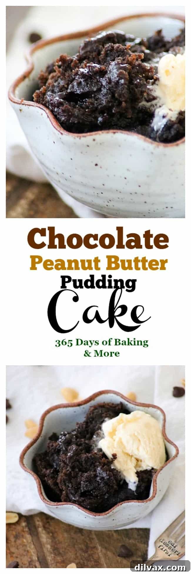 Decadent Peanut Butter Chocolate Pudding Cake 13 A wonderful dessert any time of year, this Chocolate Peanut Butter Pudding Cake is from Leigh Anne Wilkes, Your Homebased Mom's new cookbook, Holiday Slow Cooker. Super easy, delicious and yes, made in the slow cooker, it will please those chocolate peanut butter lovers in your life and have them coming back for more!