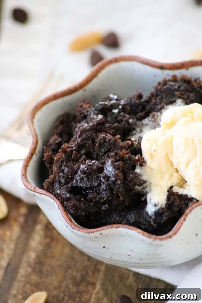 Decadent Peanut Butter Chocolate Pudding Cake 14 Delicious chocolate peanut butter pudding cake made effortlessly in a slow cooker, a recipe from Leigh Anne Wilkes' Holiday Slow Cooker cookbook.